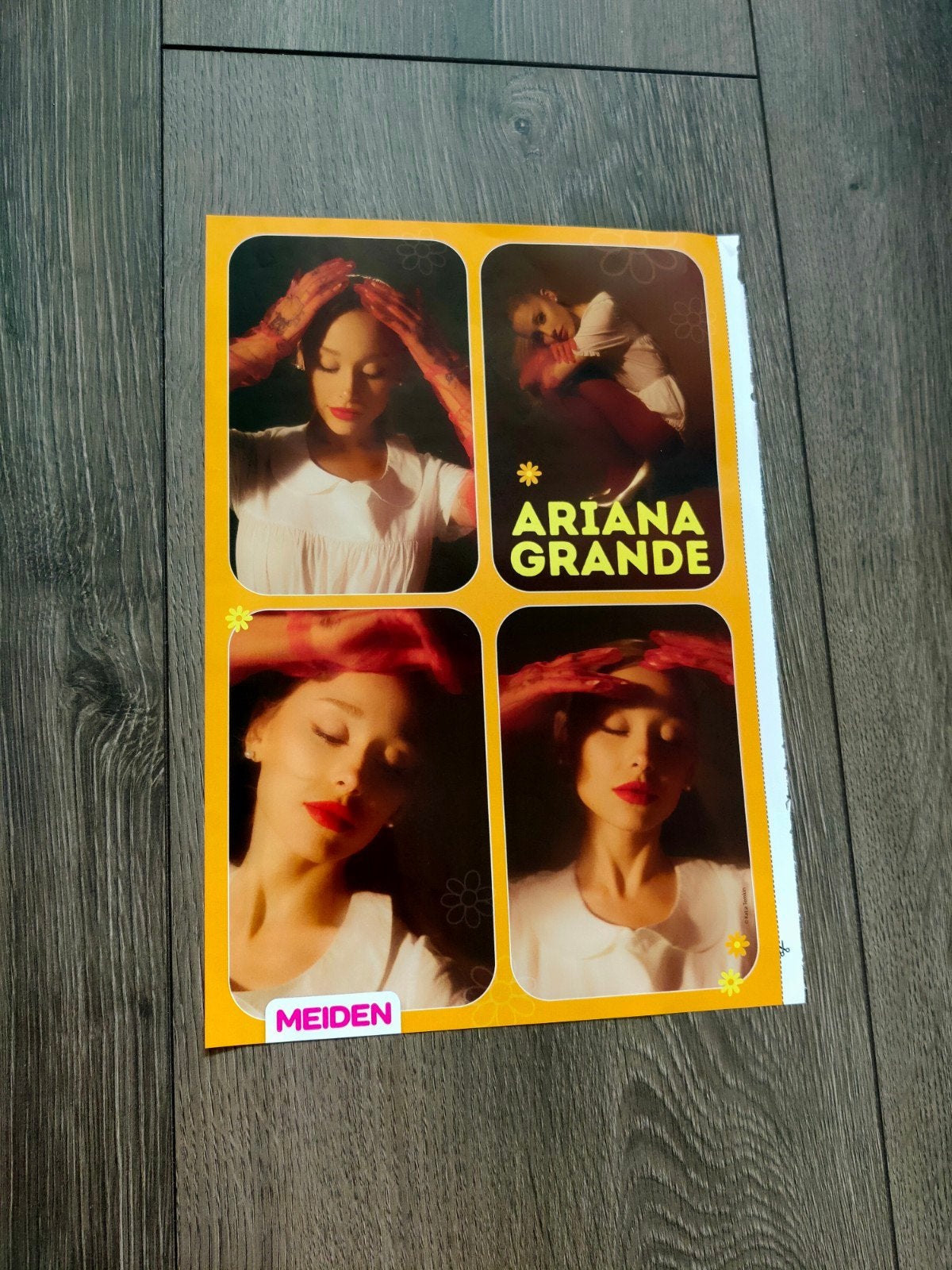 Meiden - Ariana Grande Poster, Verzamelen, Ophalen of Verzenden, Nieuw, A1 t/m A3