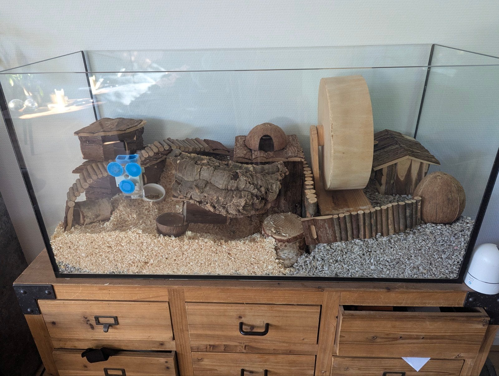 Zgan aquarium met enorme verzameling spullen, Minder dan 60 cm, Kooi, Ophalen of Verzenden, Zo goed als nieuw