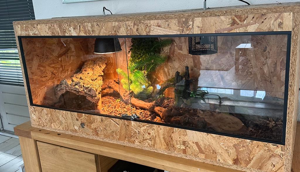 Terrarium, Dieren en Toebehoren, Ophalen of Verzenden, Zo goed als nieuw, Overige typen