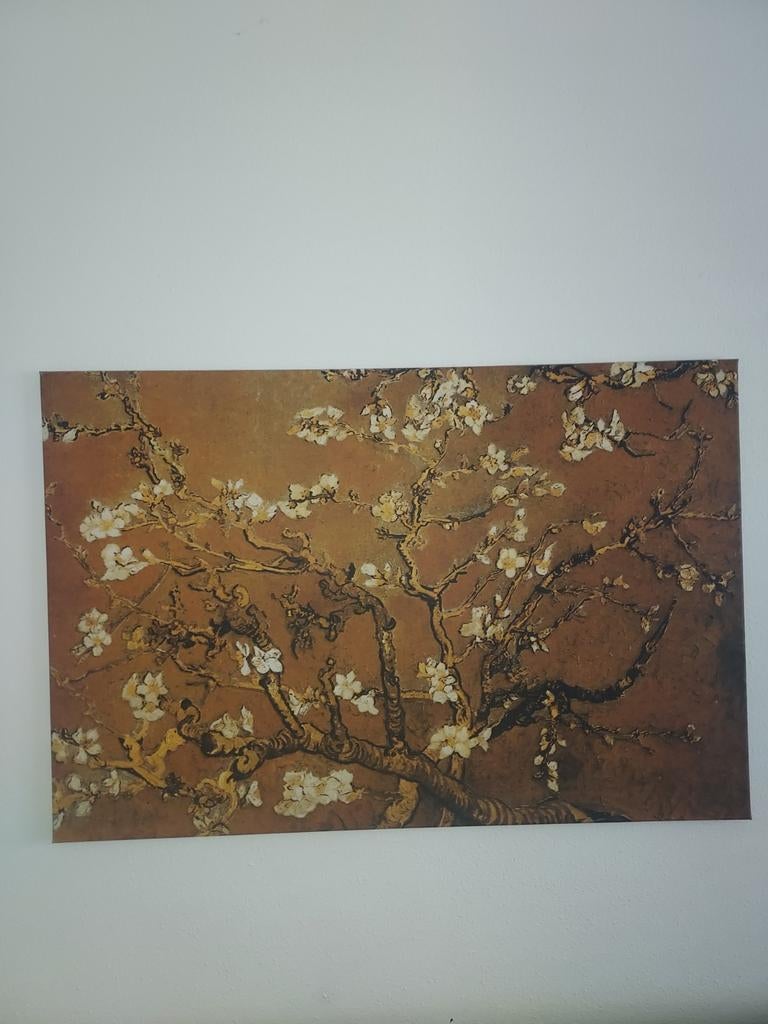 Van Gogh Amandelbloesem Canvas Schilderij 120x80 cm, Antiek en Kunst, Kunst | Schilderijen | Klassiek, Ophalen of Verzenden