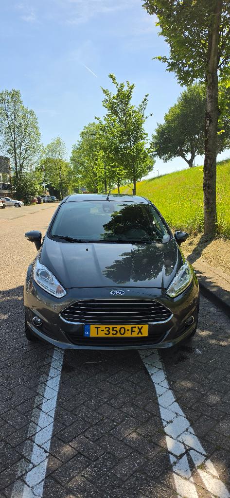 Ford Fiësta 1.0 74KW/100PK 5D Powershift 2016 Grijs, Stof, 40 €/maand, Zwart, 100 pk