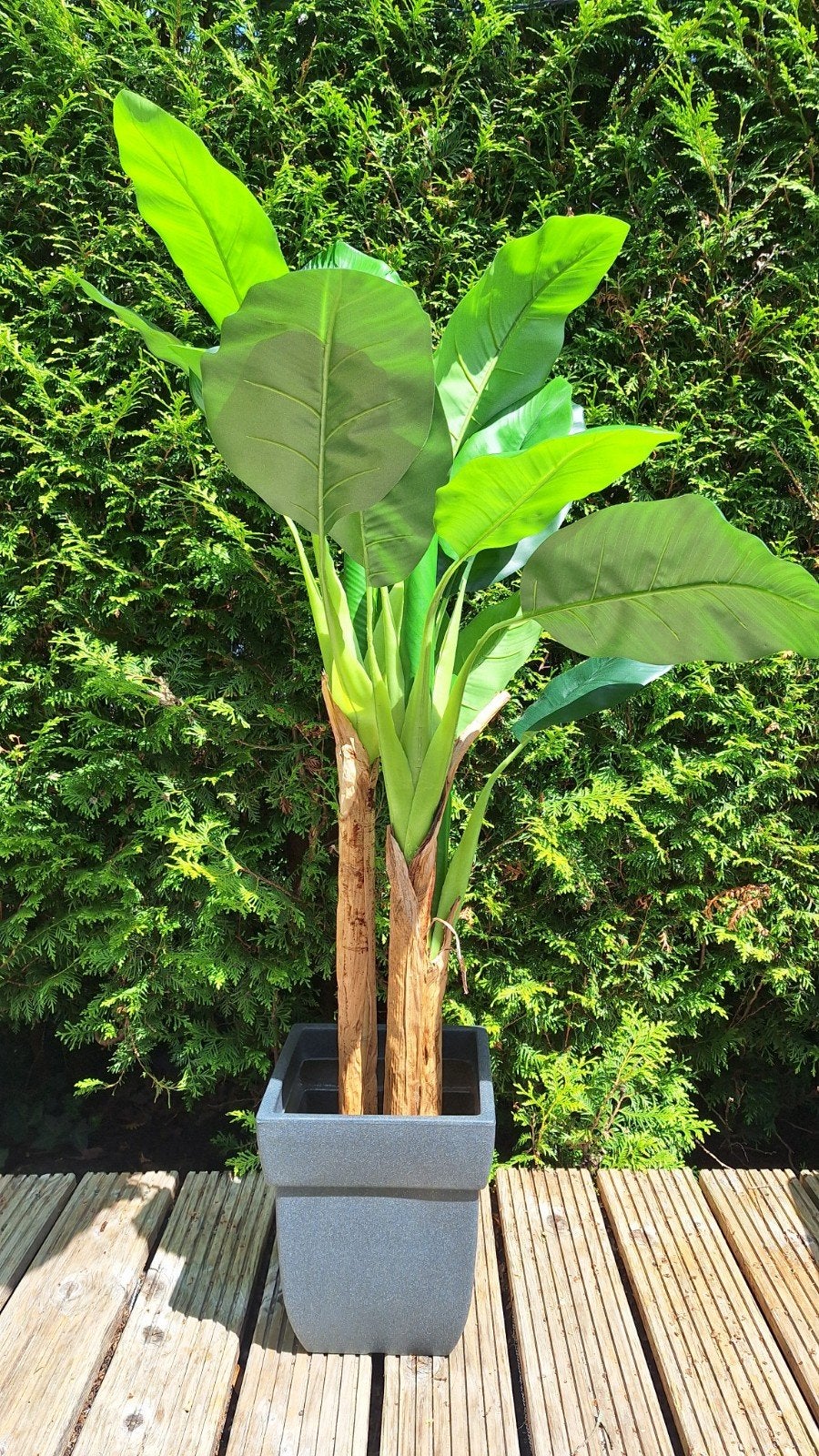 Bananenboom kunstof 150 cm met pot, Tuin en Terras, Ophalen of Verzenden, Overige soorten, Volle zon