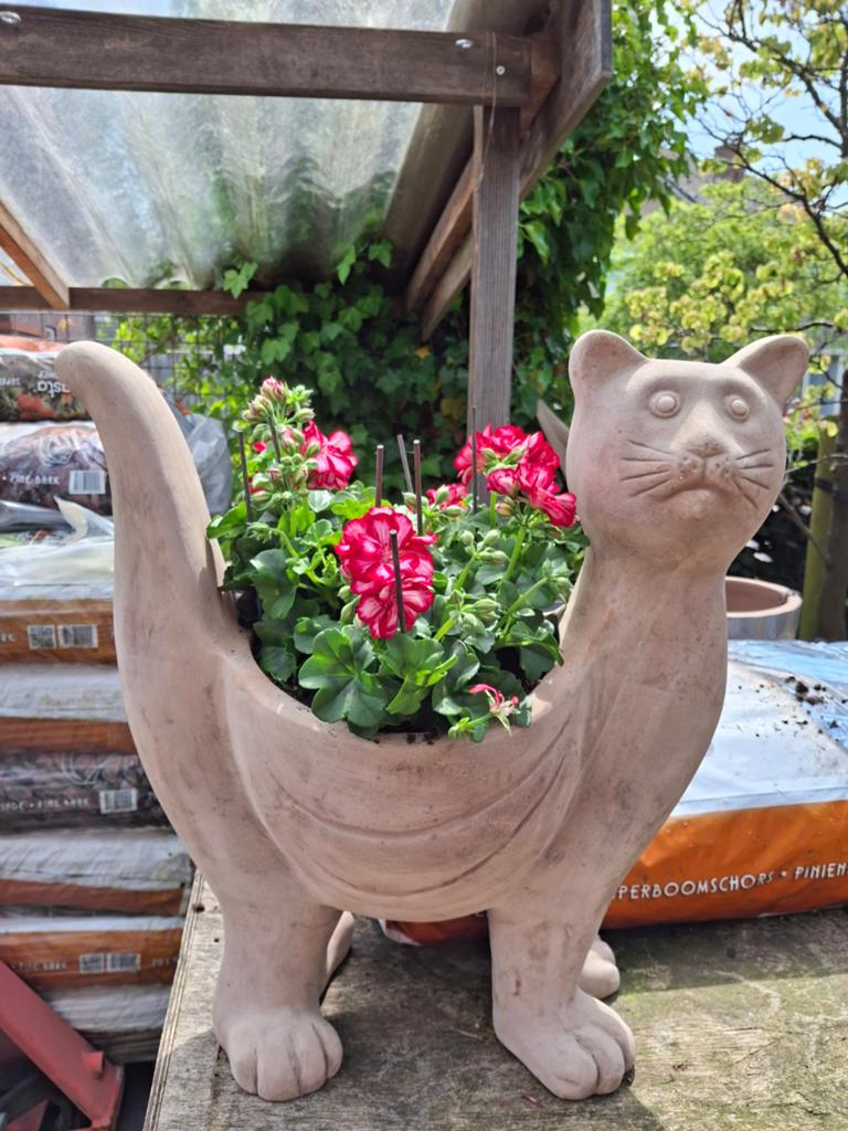 Deco kat pot / terracotta  NOG 1 BESCHIKBAAR, Tuin en Terras, Bloempotten, Ophalen, Rond, Nieuw, Minder dan 40 cm