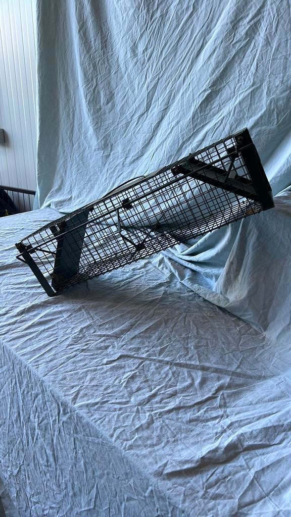 diervriendelijke vangkooi voor het levend vangen van ratten., Dieren en Toebehoren, Ophalen