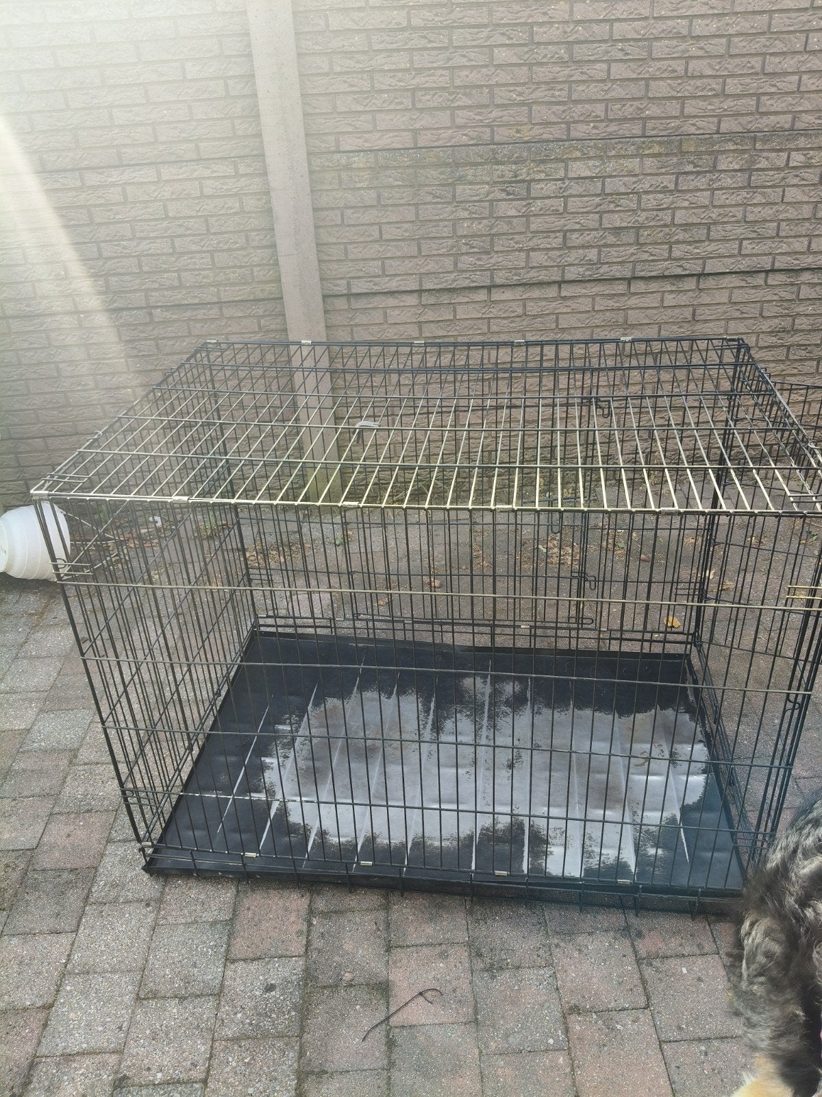 Zgan honden bench voor grote honden herder, Berner sennen, Ophalen