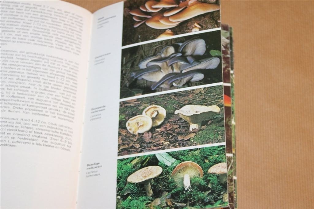 Paddestoelen — Elseviers Natuurwijzer in Kleur, Boeken, Ophalen of Verzenden, Gelezen, Bloemen, Planten en Bomen