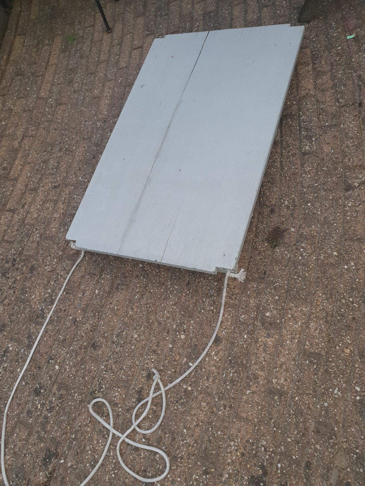 transportplaat verhuizen hondje met zwenkwielen en trekkoord, Doe-het-zelf en Verbouw, Transportwagens, 100 liter of meer, Ophalen