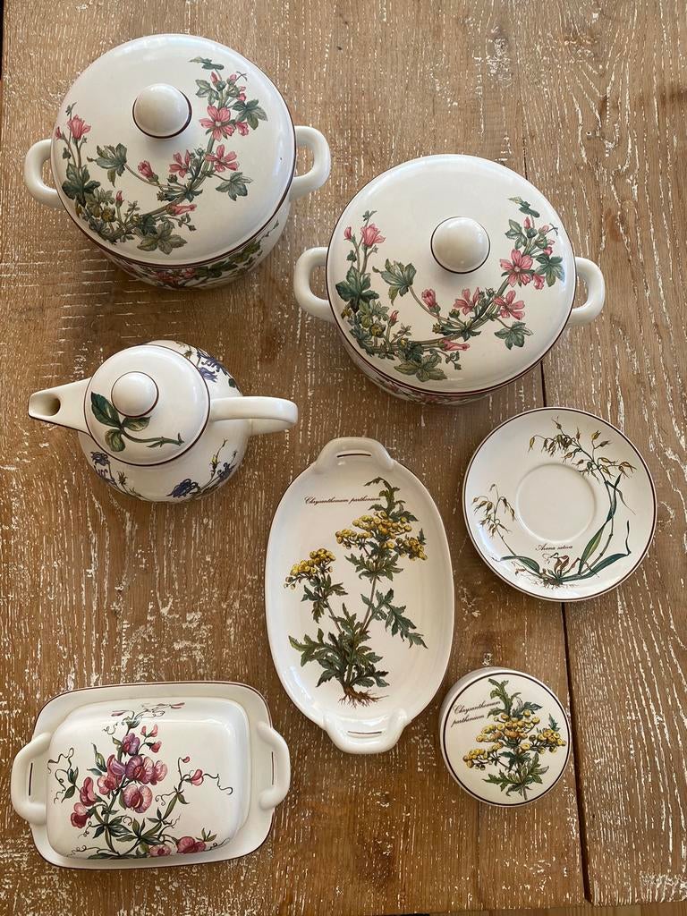 7 delig Villeroy & Boch Botanica servies, Ophalen