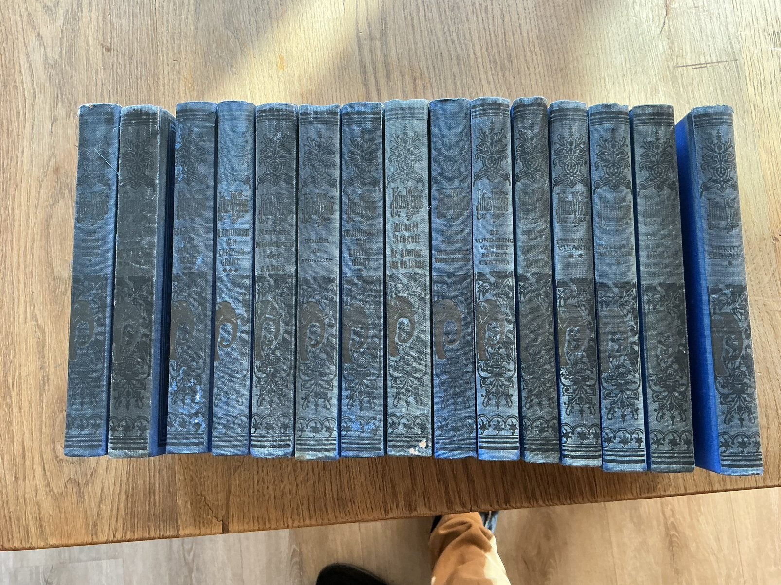 Jules Verne, Ophalen of Verzenden, Gelezen