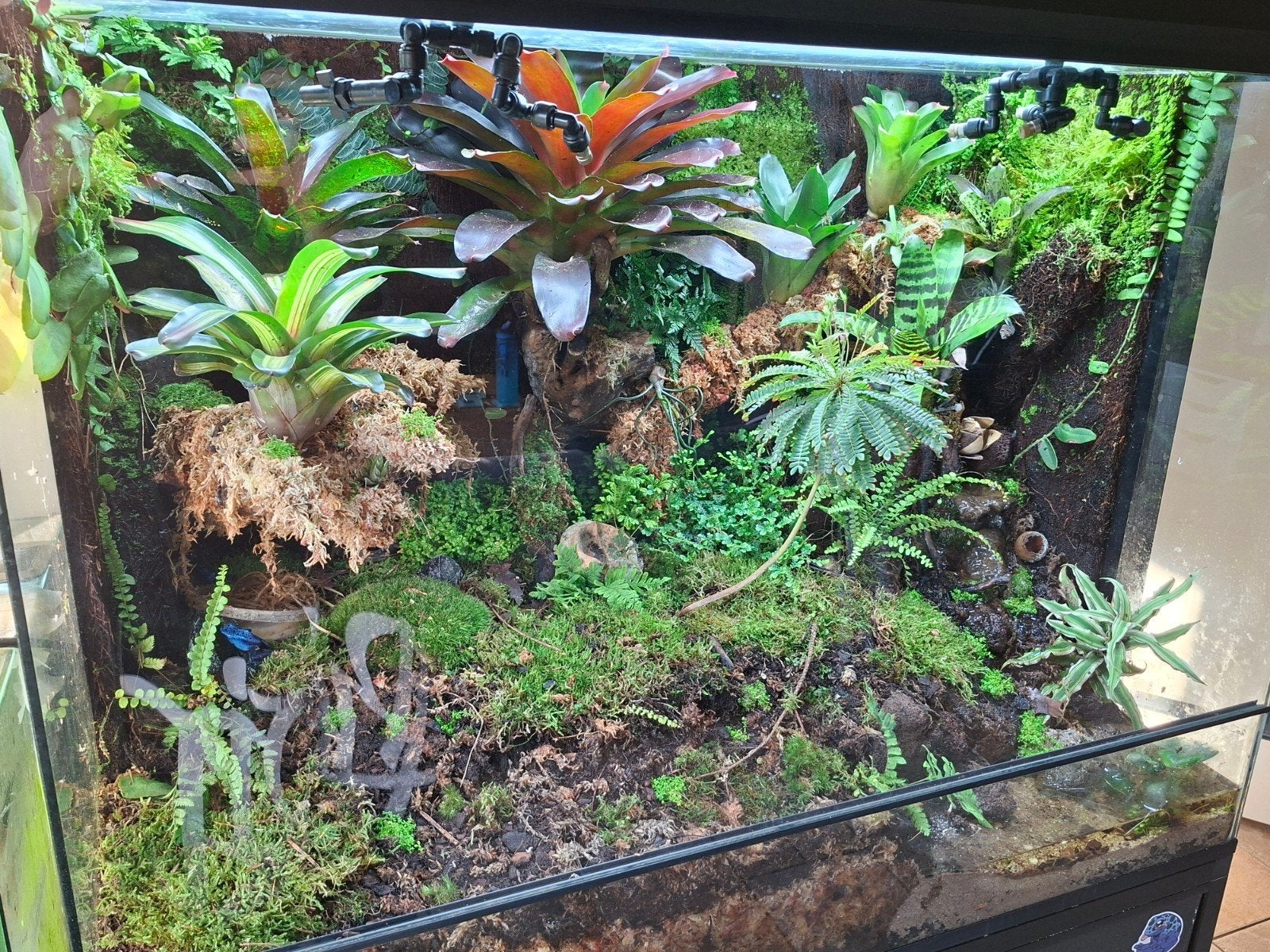 op maat gemaakte terrarium achterwanden reptiel/ amfibie, Dieren en Toebehoren, Ophalen of Verzenden
