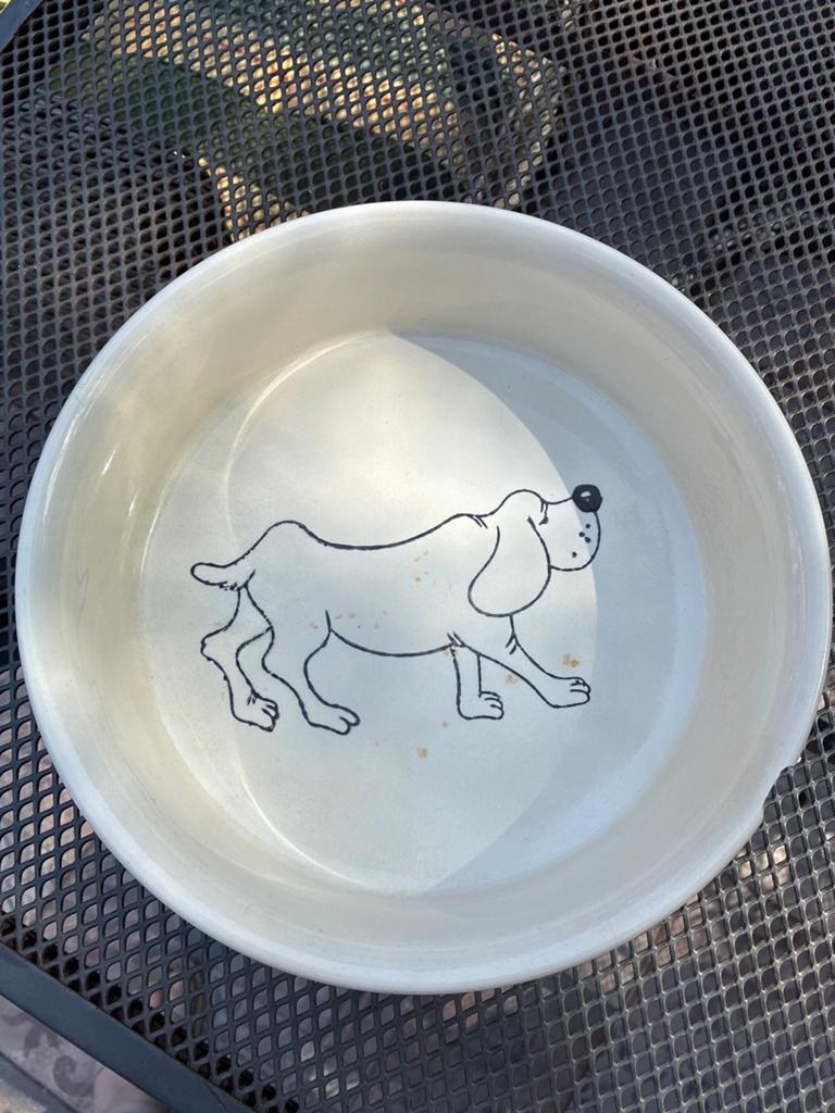 Hondenvoerbak drinkbak, Dieren en Toebehoren, Ophalen