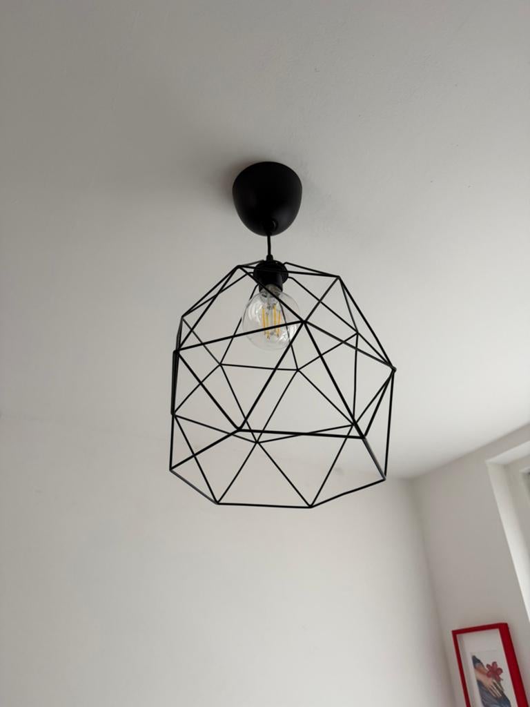 Hang lamp, Ophalen, Zo goed als nieuw, Minder dan 50 cm