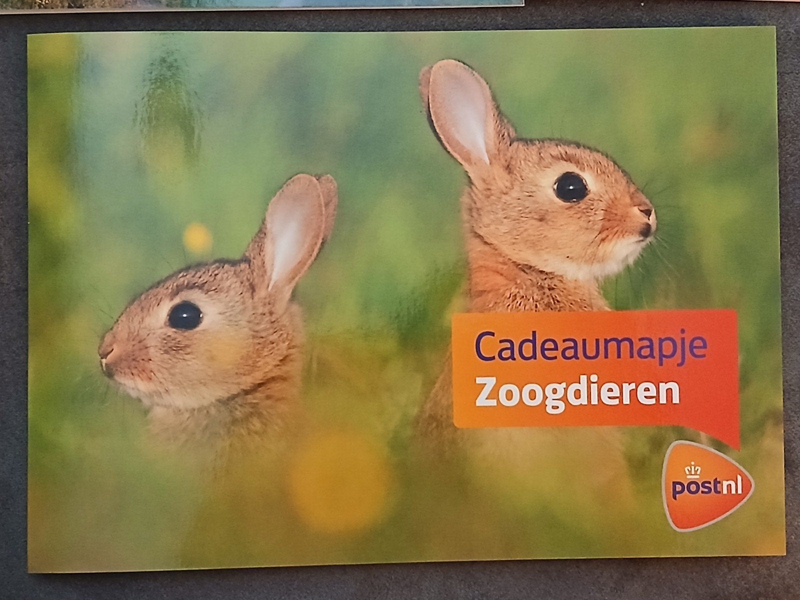 PostNL Cadeaumapje Zoogdieren - Egel Postzegels, Postzegels en Munten, Verzenden, Na 1940, Postfris