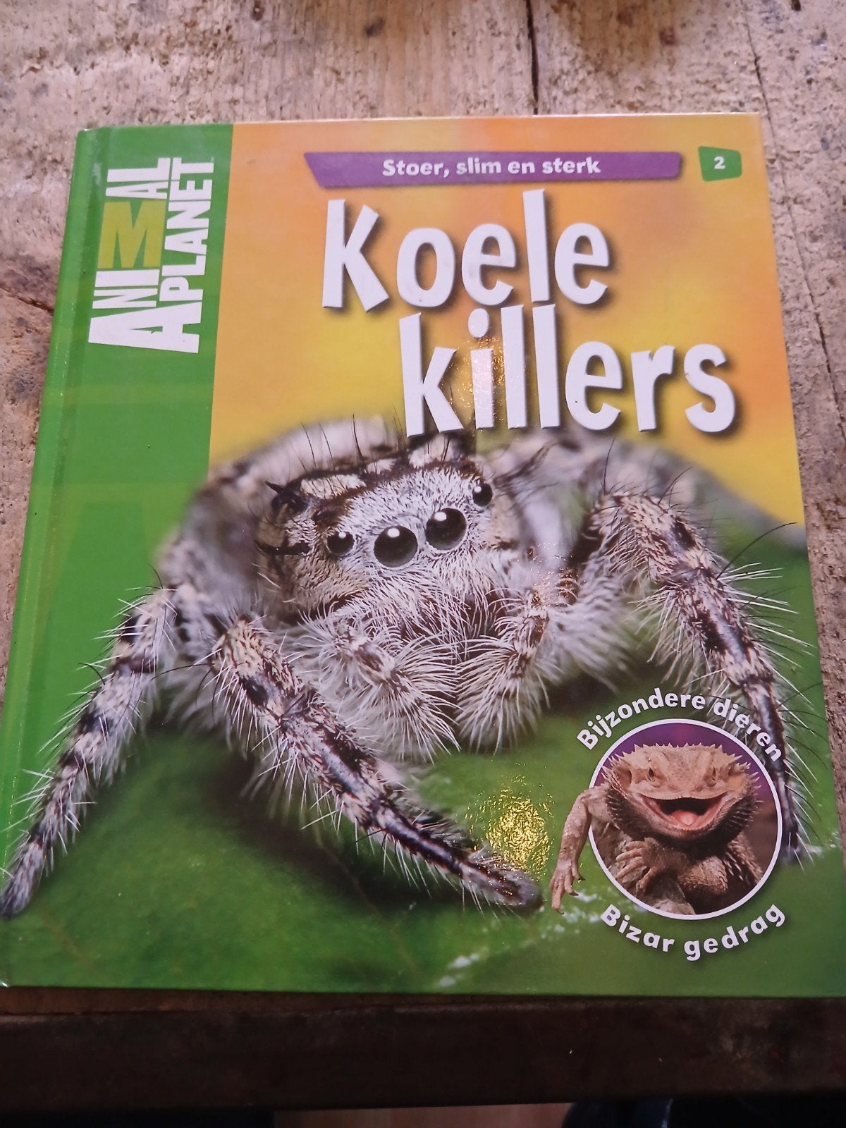 Koel Killers - Stoer, slim en sterk - Bijzondere dieren, Boeken, Dieren en Huisdieren, Ophalen of Verzenden, Zo goed als nieuw