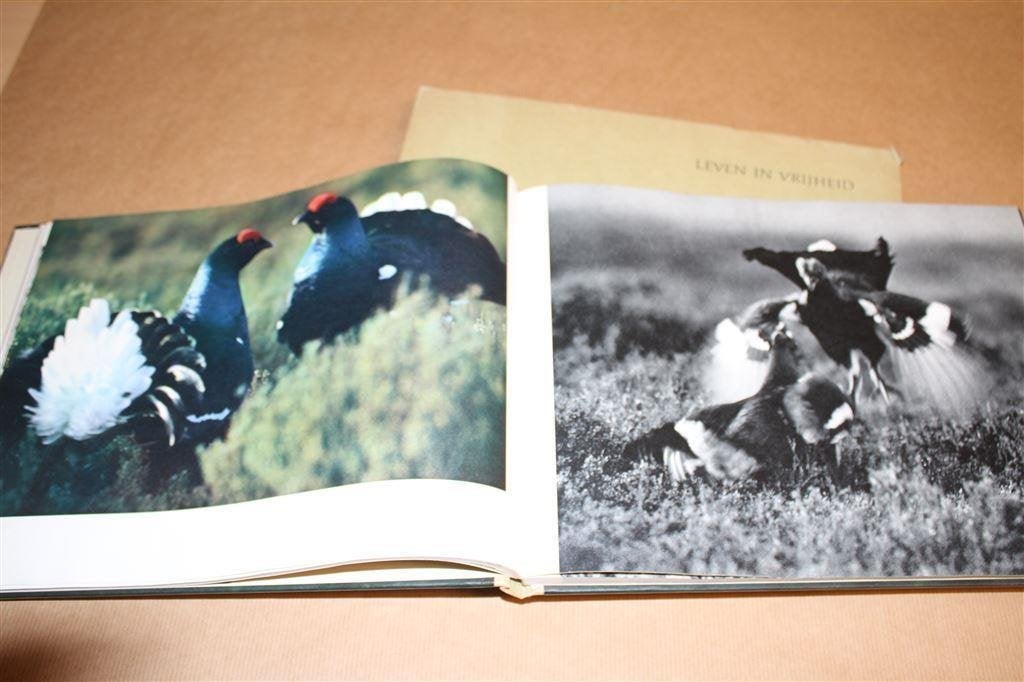 Leven in Vrijheid. F.F. Hazelhoff., Ophalen of Verzenden, Zo goed als nieuw, Vogels