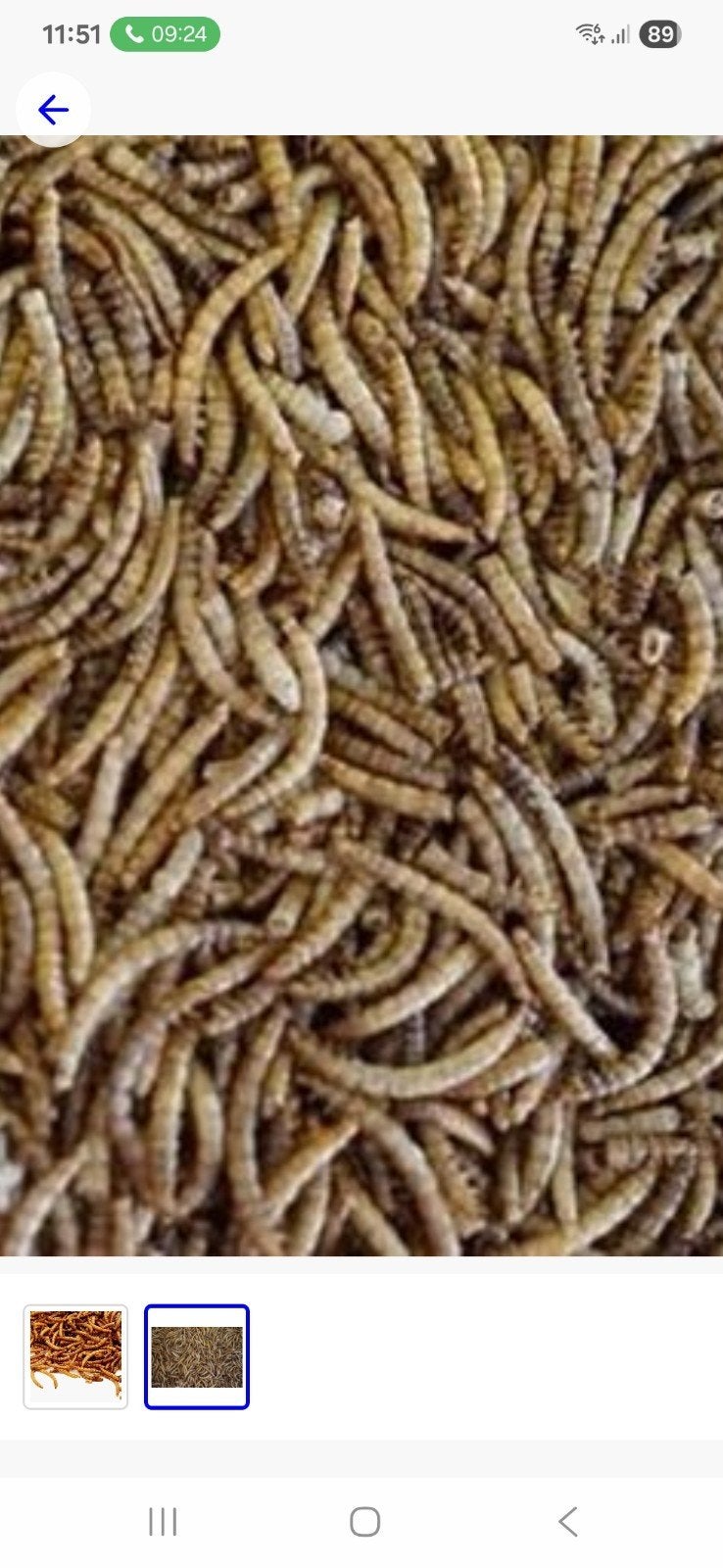 Kilo verse gedroogde meelwormen, Dieren en Toebehoren, Dierenvoeding, Ophalen of Verzenden