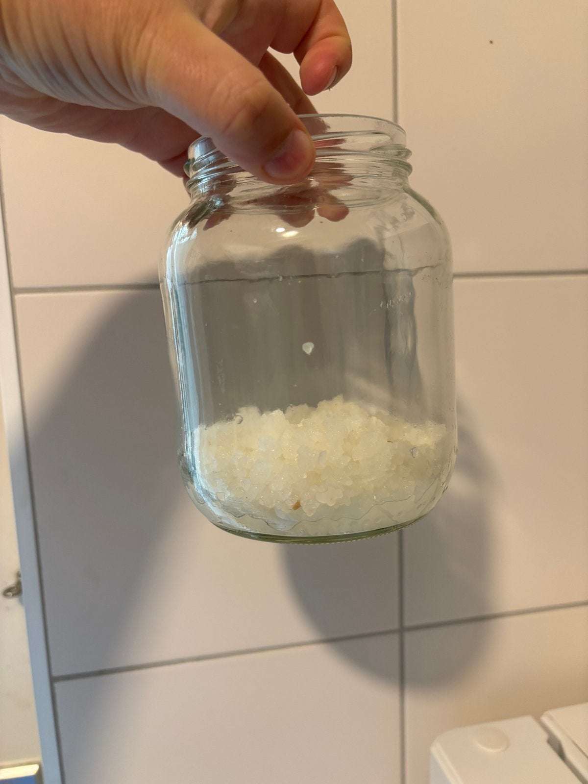 Water kefir korrels, Ophalen of Verzenden