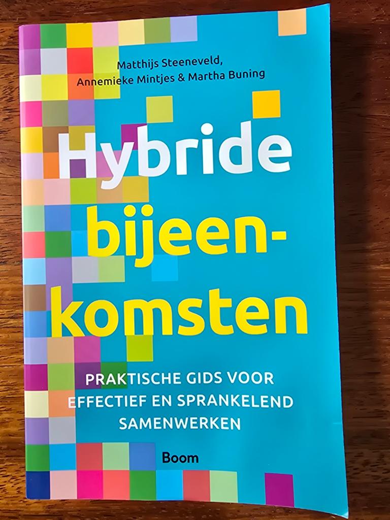 Annemieke Mintjes - Hybride bijeenkomsten, Ophalen of Verzenden, Zo goed als nieuw, Annemieke Mintjes; Martha Buning; Matthijs Steeneveld