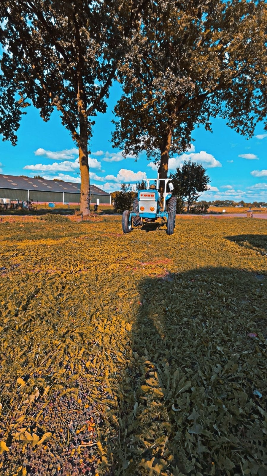 Ford 2000 Tractor - Goed onderhouden oldtimer, Zakelijke goederen, Ophalen, Meer dan 10000, Oldtimer, Ford