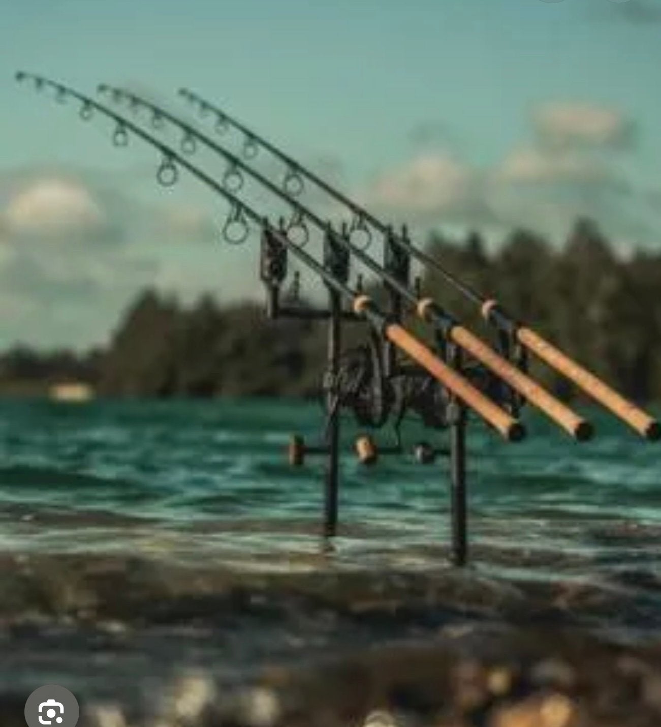 Gezocht mooie karper set, Watersport en Boten, Ophalen of Verzenden, Zo goed als nieuw