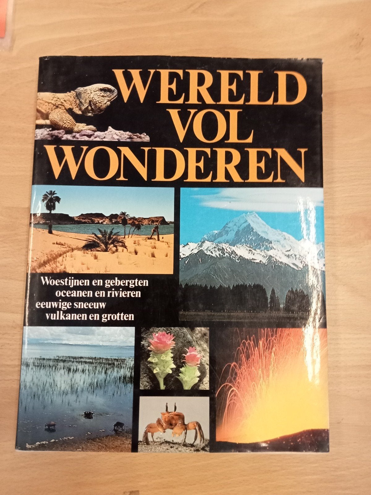 Wereld Vol Wonderen - Natuur en Landschappen, Ophalen of Verzenden, Gelezen, Natuur algemeen