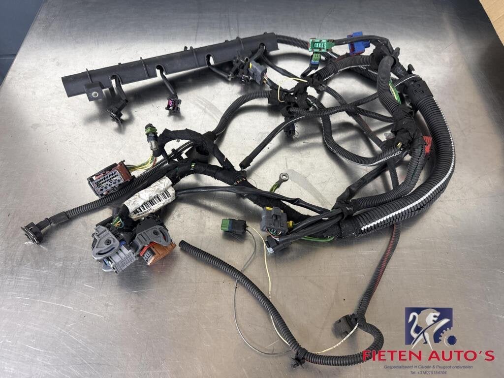 Kabelboom motor Peugeot 307 CC 2.0-16V RFK 9659205480, Gebruikt, Ophalen of Verzenden, Peugeot, Peugeot