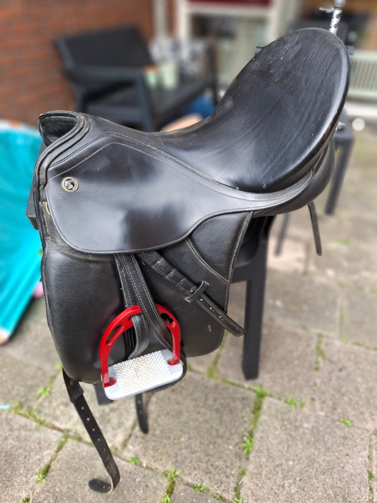 Kieffer Wien DL, Dieren en Toebehoren, Ophalen, Gebruikt, Dressuur