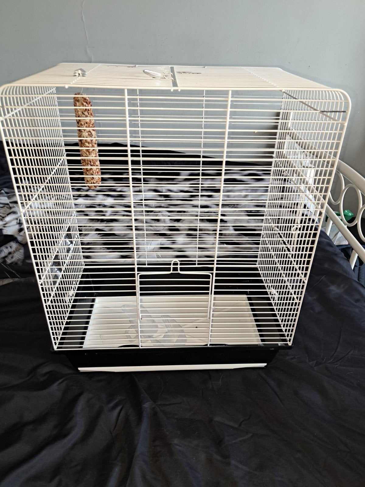 vogelkooi gebruikt, Ophalen, Gebruikt, Metaal, Vogelkooi