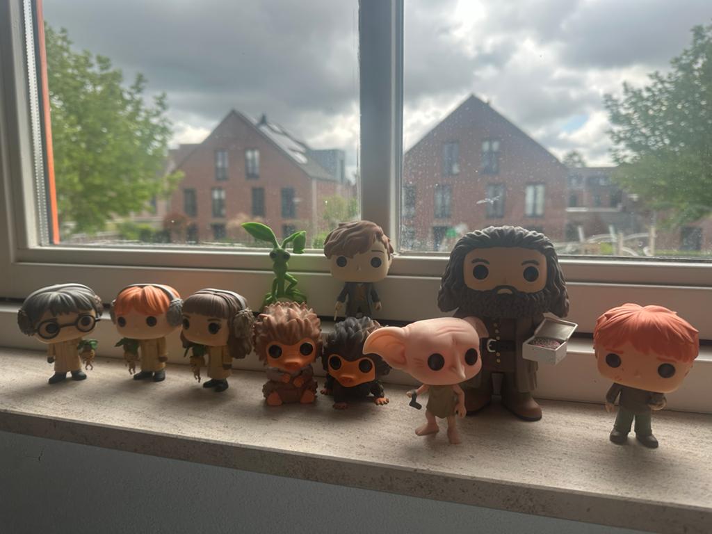 Harry Potter en Fantastic Beasts Funko Pop! verzameling, Ophalen of Verzenden, Zo goed als nieuw