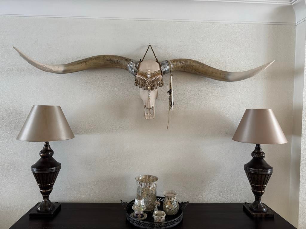 Longhorn skull van Godly Jewels, Huis en Inrichting, Woonaccessoires | Overige, Gebruikt, Meerkleurig, Boho, Ophalen of Verzenden