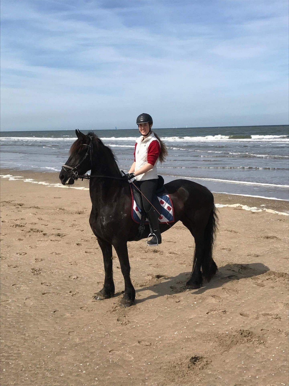 Bijrijdpaard gezocht (door ervaren recreatieve ruiter), Ophalen of Verzenden, Nieuw