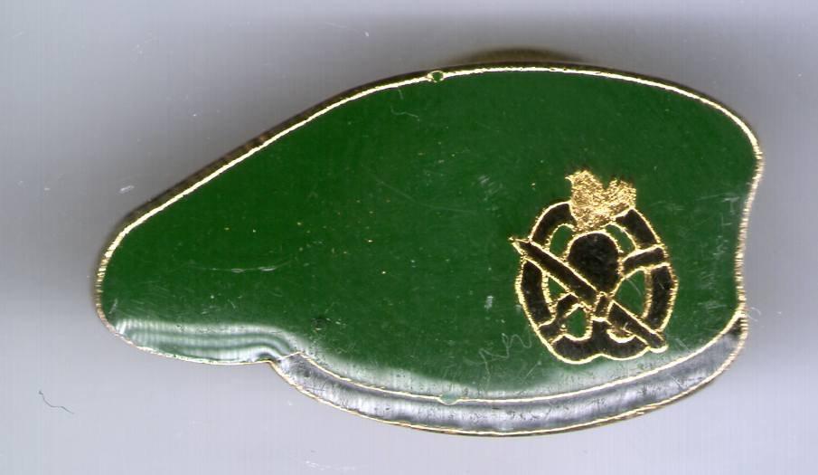 Korps Commandotroepen groene baret PIN ( BLAD0_059 ), Verzenden, Zo goed als nieuw, Stad of Land, Speldje of Pin