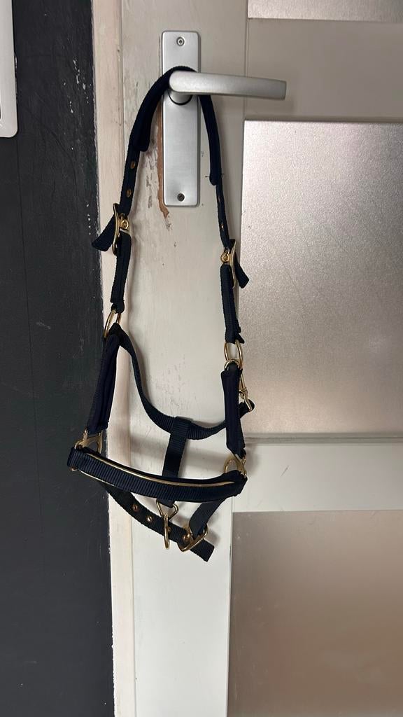 Shetlander halster harry’s horse, Dieren en Toebehoren, Ophalen of Verzenden, Nieuw, Overige soorten