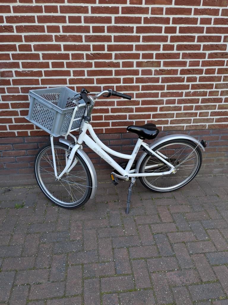 Batavus Diva 24 inch, Ophalen, Terugtraprem, Versnellingen, Batavus Diva