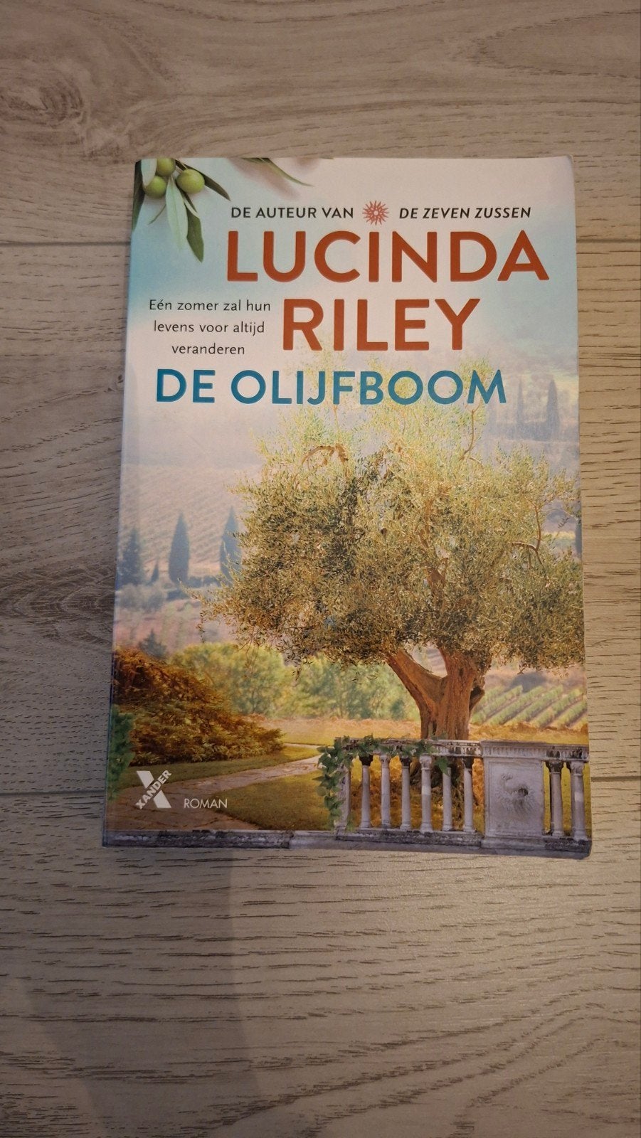 De Olijfboom - Lucinda Riley (gelezen, nette staat), Gelezen, Lucinda Riley, Ophalen of Verzenden, Nederland