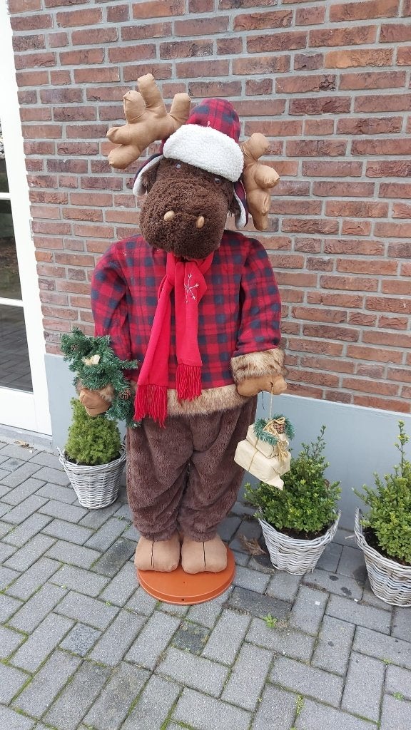 rudolf kerst pop, Diversen, Kerst, Ophalen