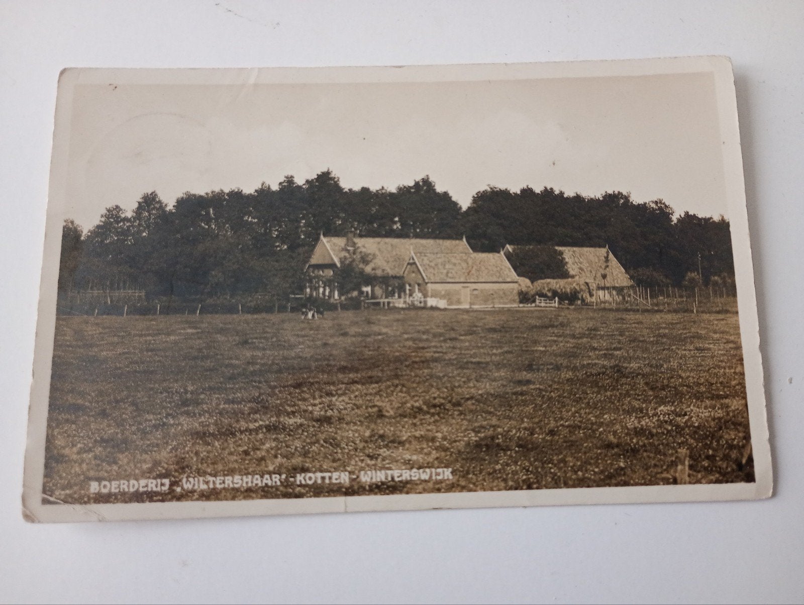 Fotokaart Winterswijk Boerderij Wiltershaar Kotten, Ophalen of Verzenden, 1920 tot 1940, Gelopen, Gelderland