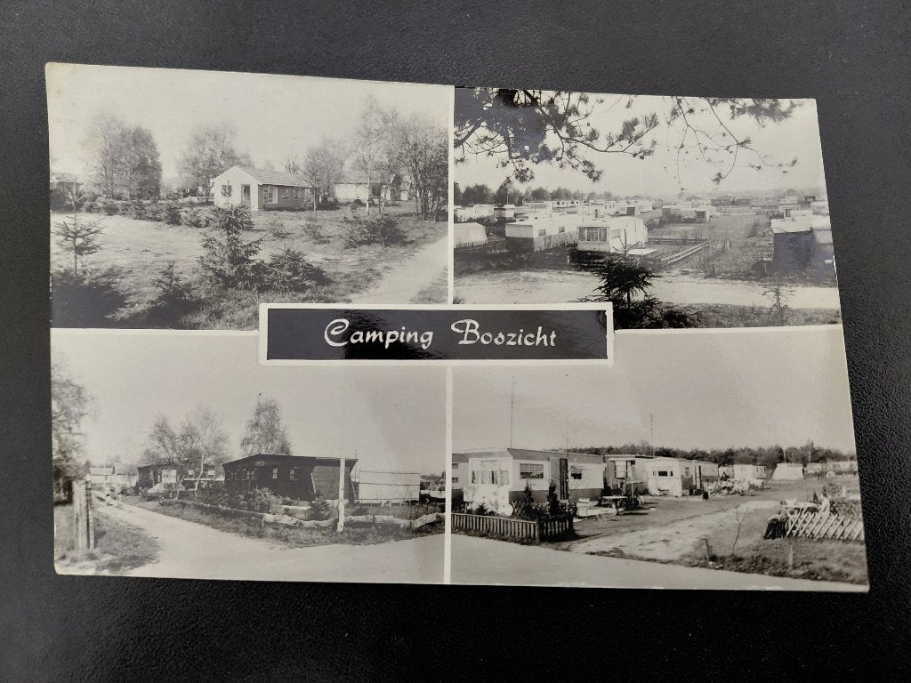 Camping Boszicht, Alverna, echte fotokaart, gelopen., Verzenden, 1960 tot 1980, Gelopen, Gelderland