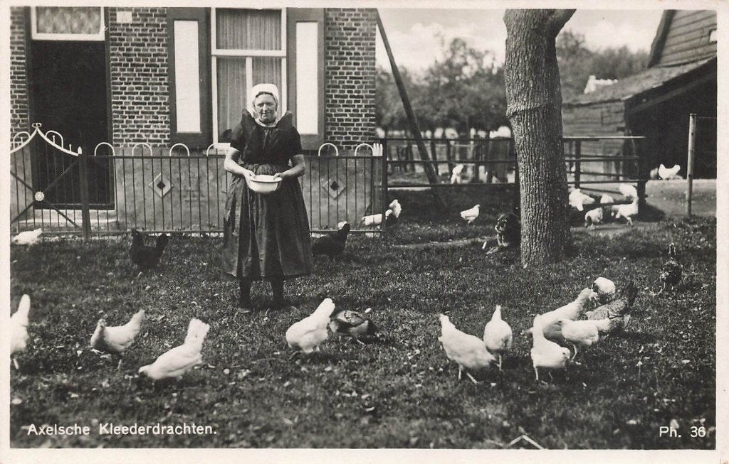 Axelsche Kleederdrachten, Ophalen of Verzenden, 1940 tot 1960, Gelopen, Zeeland