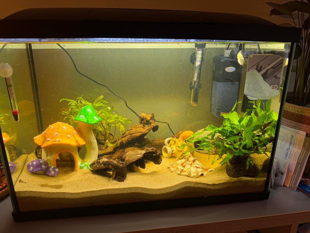 Aquarium 70 liter NIEUW met toebehoren, Dieren en Toebehoren, Vissen | Aquaria en Toebehoren, Ophalen of Verzenden, Zo goed als nieuw