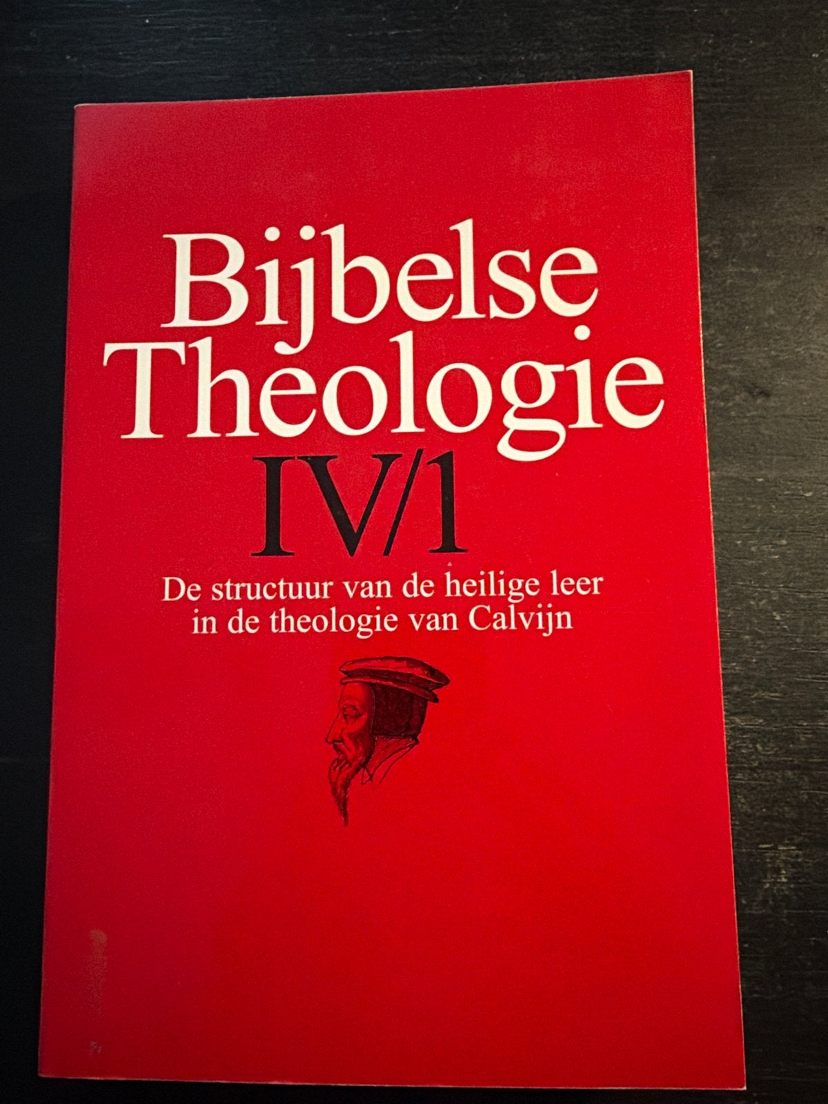 Bijbelse Theologie IV/1 - De structuur van de heilige leer, Ophalen of Verzenden, Gelezen, Christendom | Protestants