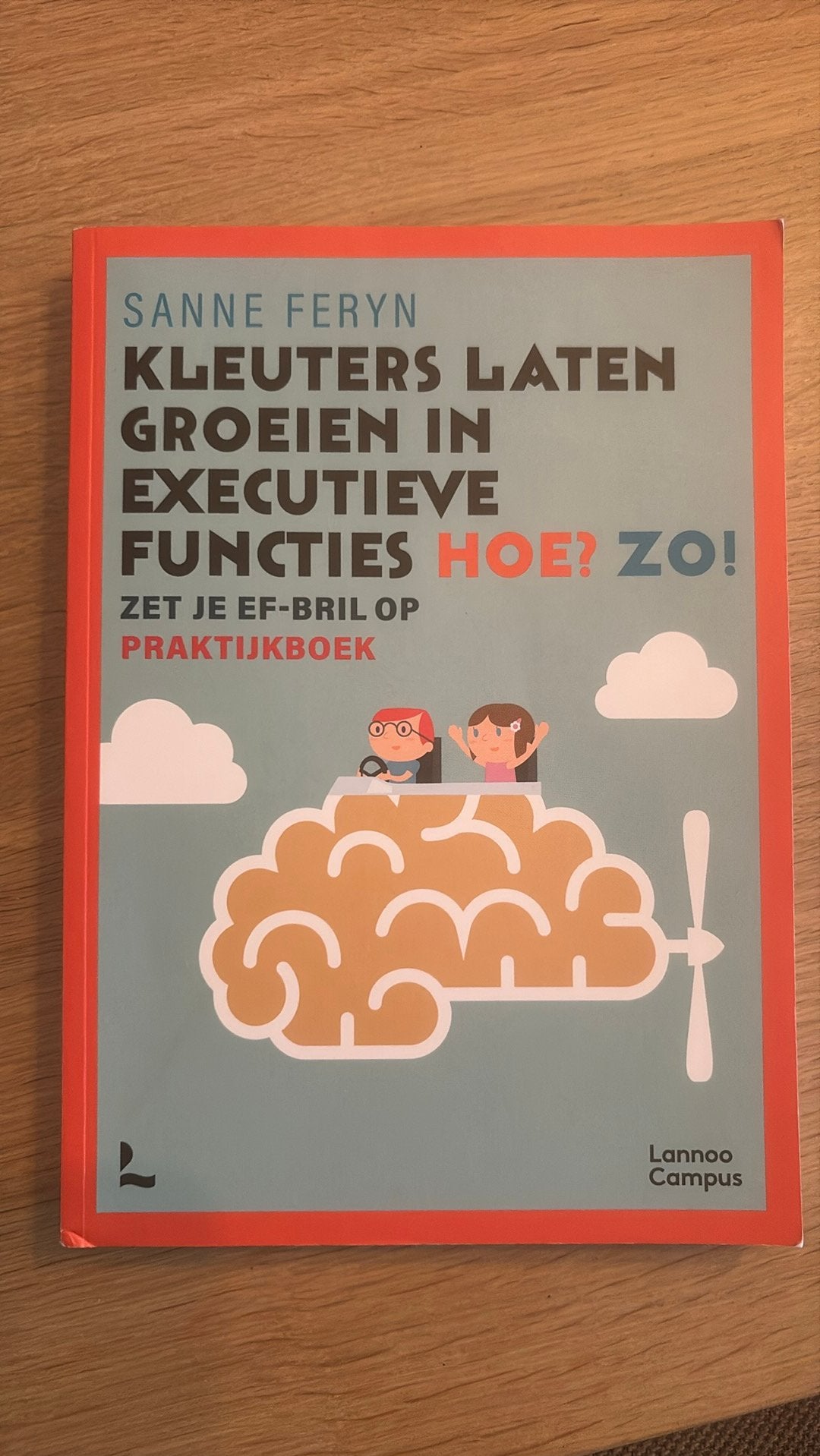 Kleuters laten groeien in executieve functies. Hoe? Zo!, Sanne Feryn, Sociale wetenschap, Ophalen of Verzenden, Zo goed als nieuw