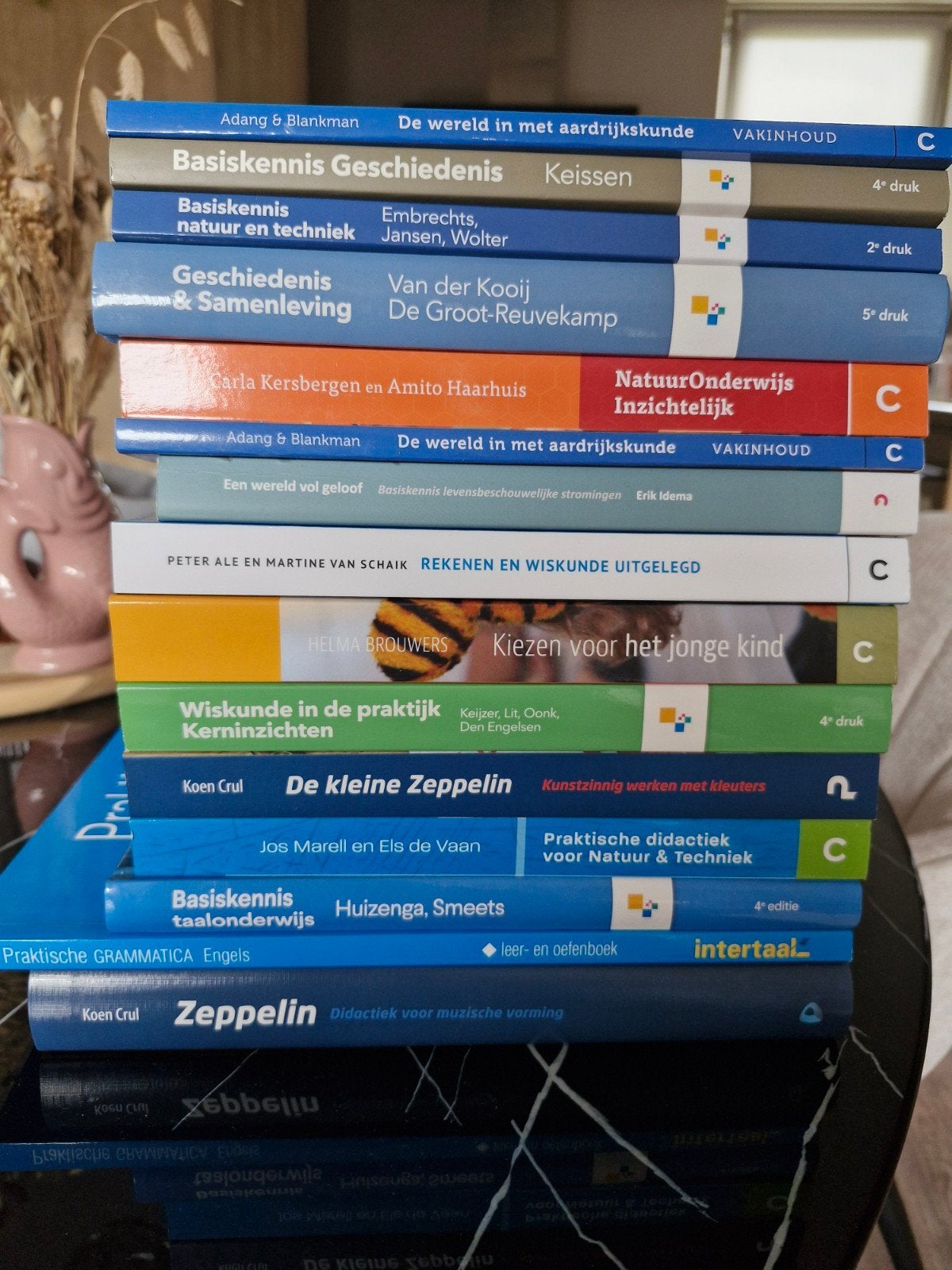 Pabo boeken: Toelatingstoetsen tot 4e jaar - Diverse vakken, Boeken, Studieboeken en Cursussen, Ophalen of Verzenden, Beta, HBO