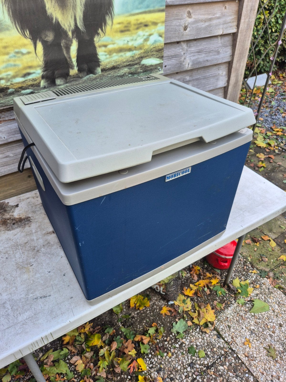 mobicool modiele camping koelbox vriesbox 220v, Ophalen of Verzenden, Zo goed als nieuw, Koelbox, Compressor