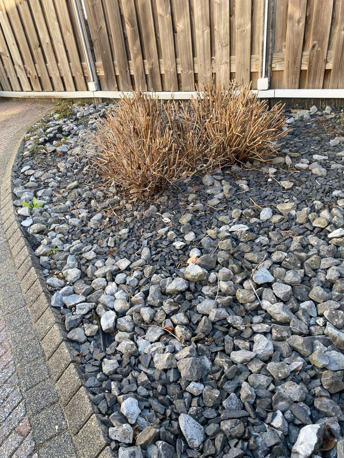 Grijze keitjes en split gratis af te halen, Tuin en Terras, Ophalen, Gebruikt, Split, Basalt