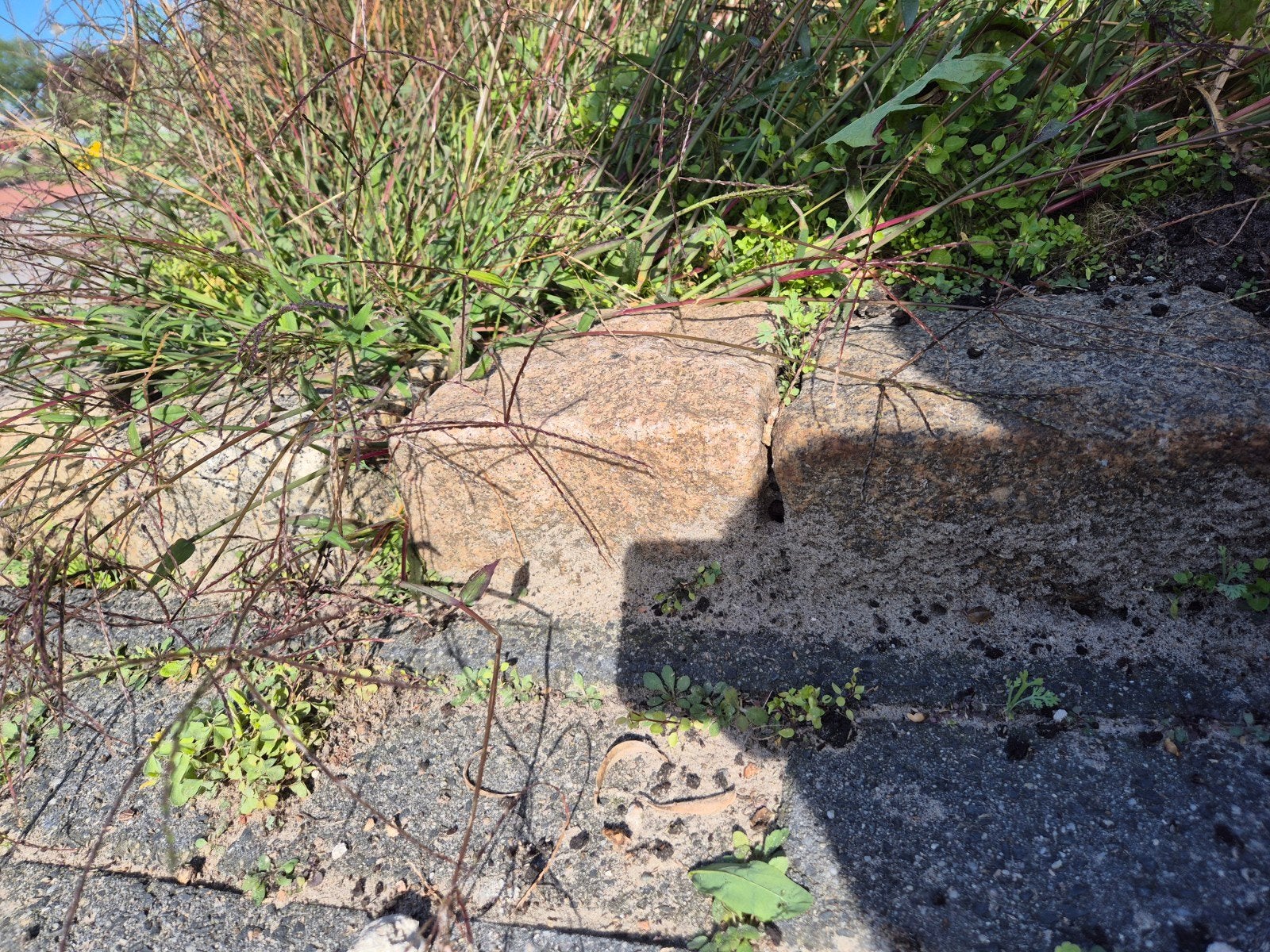 Natuursteen rotsblokken/keien - Diverse soorten beschikbaar, Tuin en Terras, Ophalen, Gebruikt