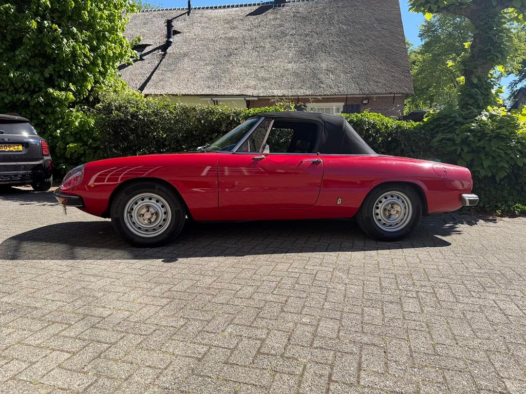 Alfa Romeo Spider