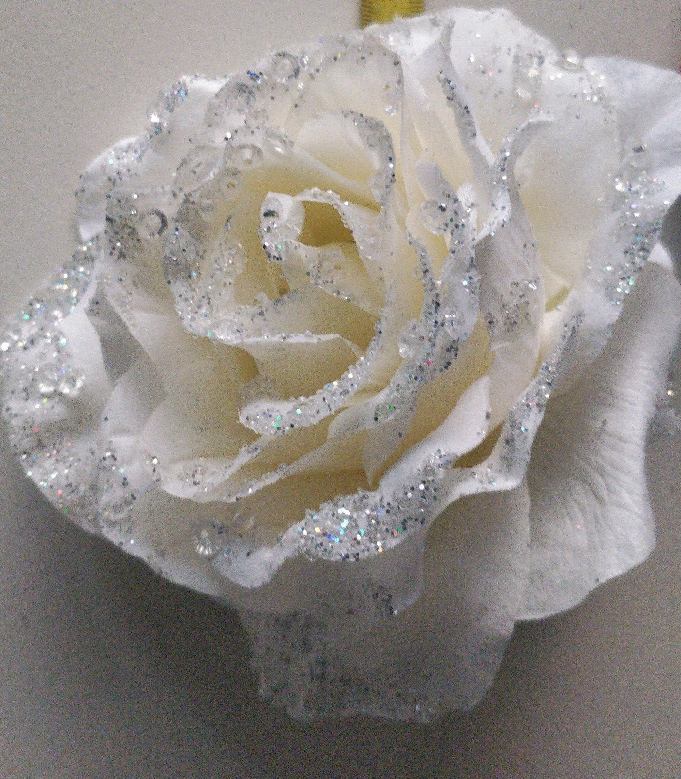 Grote witte rozen op clip gratis verzending per doos van 12, Ophalen of Verzenden, Nieuw