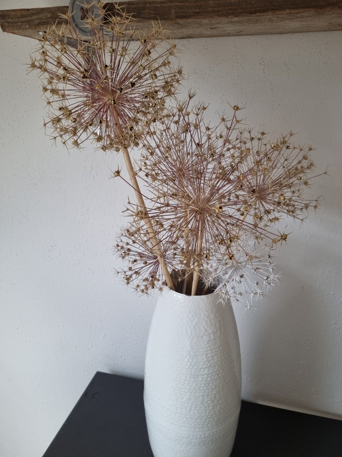 Gedroogde uienbollen - Decoratieve allium bollen, Ophalen