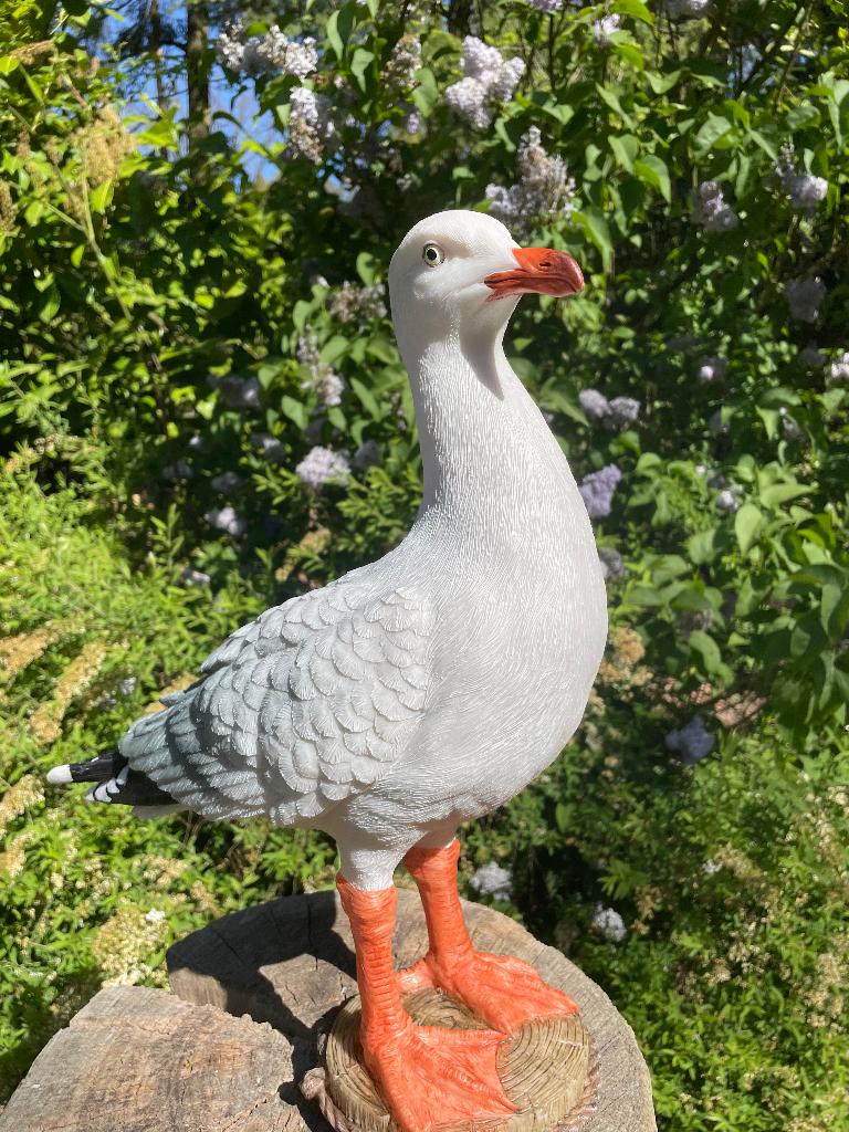 Beeld Meeuw, vogel, tuin, boerderij, vijver, zee 30cm, Ophalen of Verzenden, Nieuw, Kunststof, Dierenbeeld